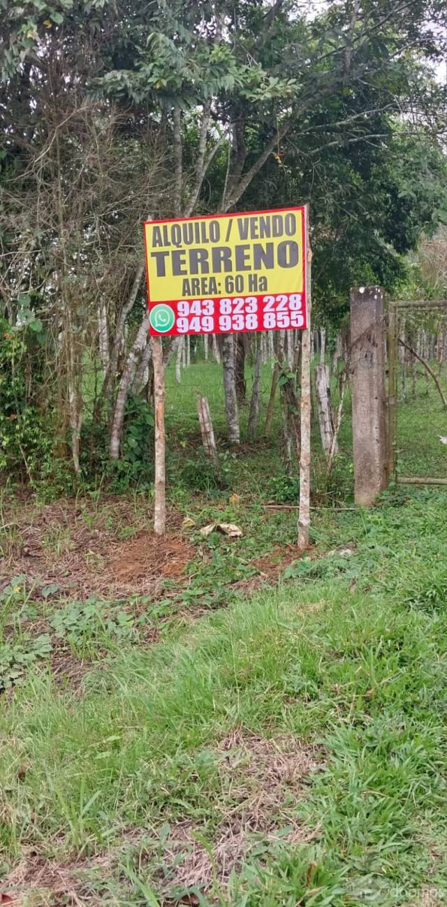 VENTA O ALQUILER DE TERRENO EN PUCALLPA KM19 (REF CARRETERA FEDERICO BASADRE)