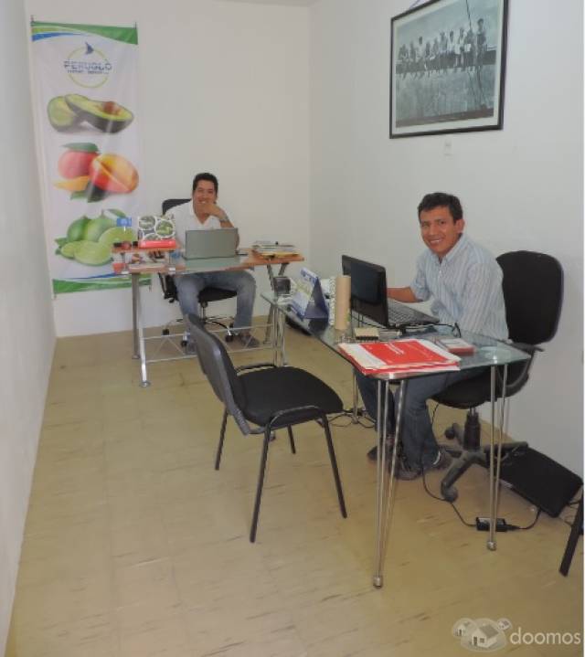 ALQUILO OFICINAS PIURA