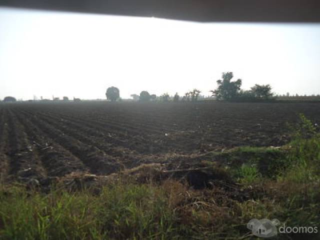 En venta terreno agrícola excelente ubicación