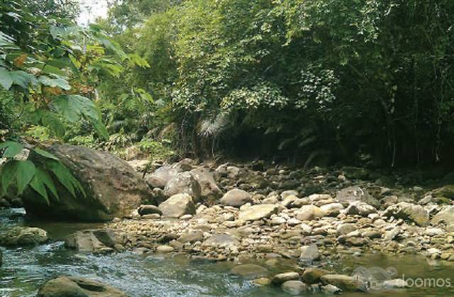 Terreno en alquiler - Tarapoto, Banda de Shilcayo