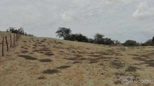 TERRENO EN PIURA