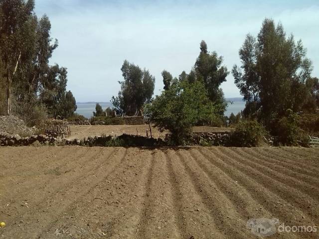 VENTA DE TERRENO EN PUNO-ISLA AMANTANI