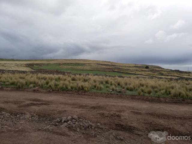 Terreno en Venta de 4500 m² en Plena Carretera Interoceanica - Puno