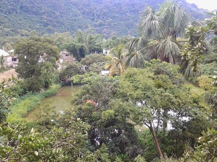 Venta de terreno  en Tingo Maria  Huanuco 14 hectareas (FUNDO EL AFILADOR)